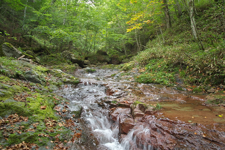 IMGP8971.jpg
