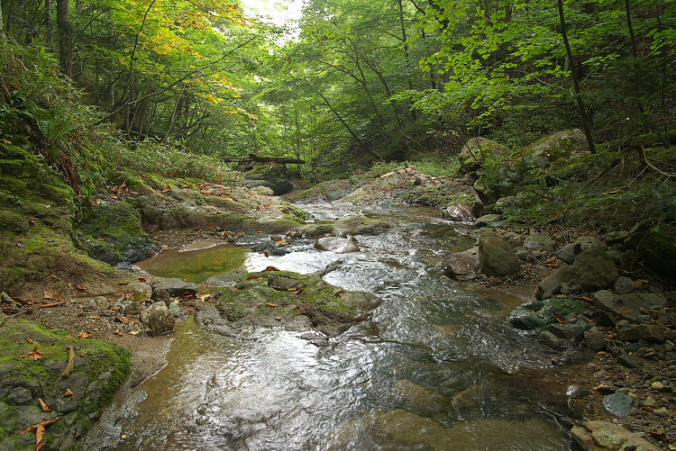 IMGP8972.jpg