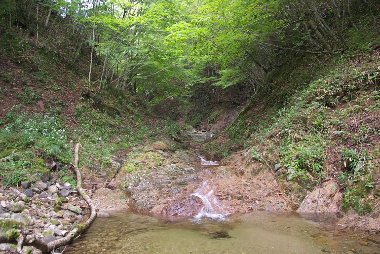 IMGP8984.jpg