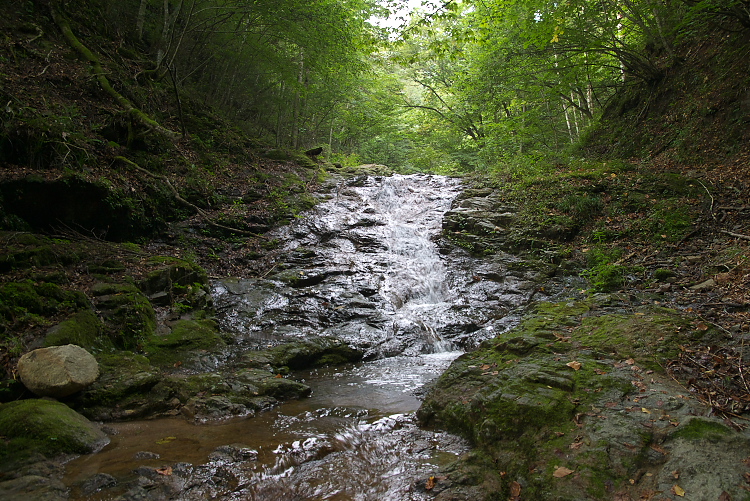 IMGP8988.jpg
