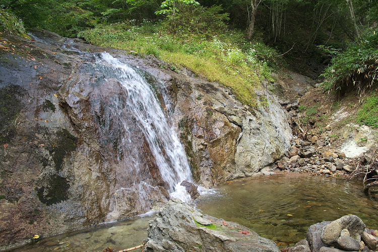 IMGP9003.jpg