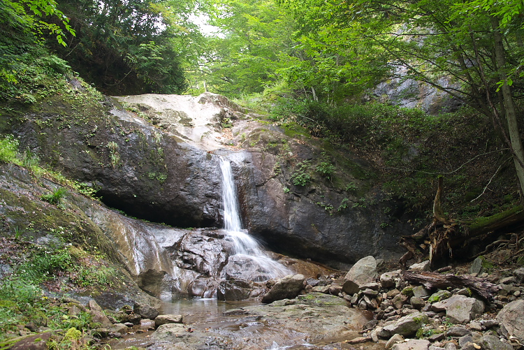 IMGP9015.jpg