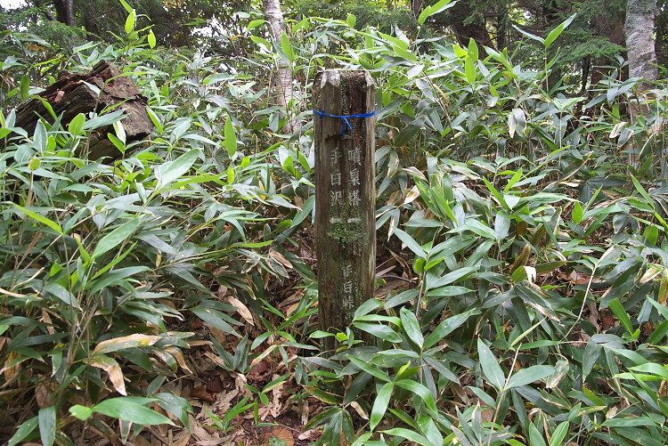 IMGP9031.jpg - 手白峠