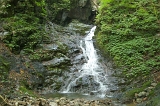 IMGP8950