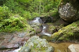 IMGP8955