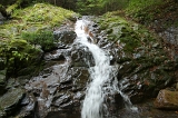 IMGP8957