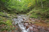 IMGP8971