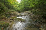 IMGP8972