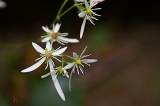 IMGP8978