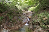 IMGP8981