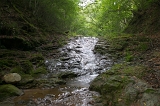 IMGP8988