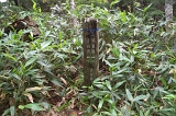 IMGP9031