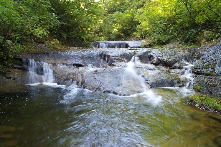 IMGP9189.jpg