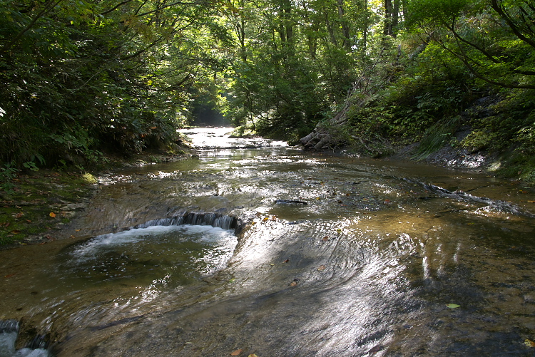 IMGP9211.jpg