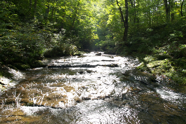 IMGP9216.jpg