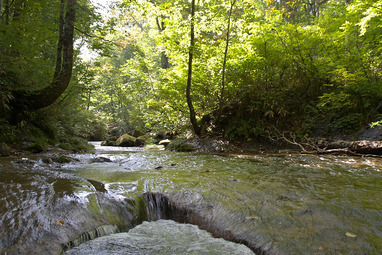 IMGP9238.jpg