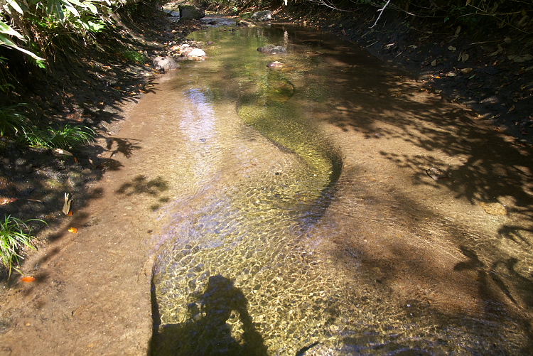 IMGP9313.jpg