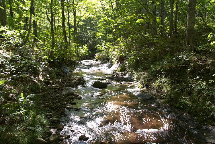 IMGP9368.jpg