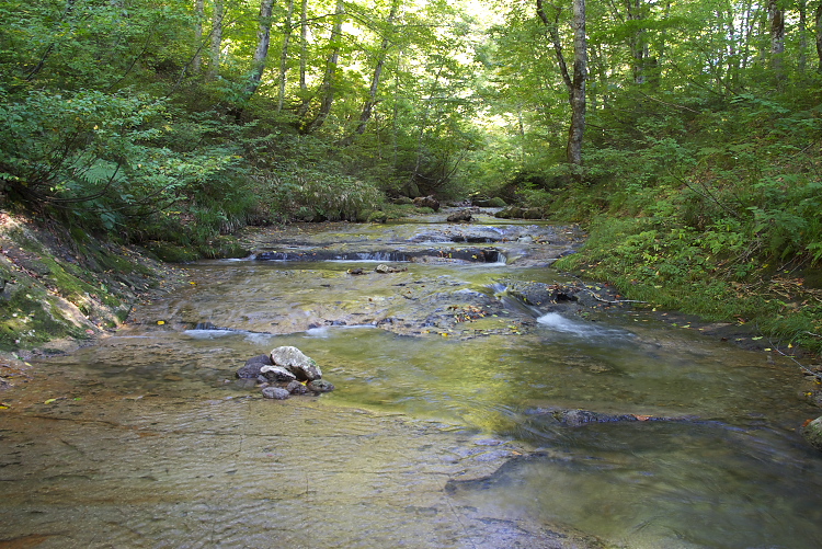 IMGP9392.jpg