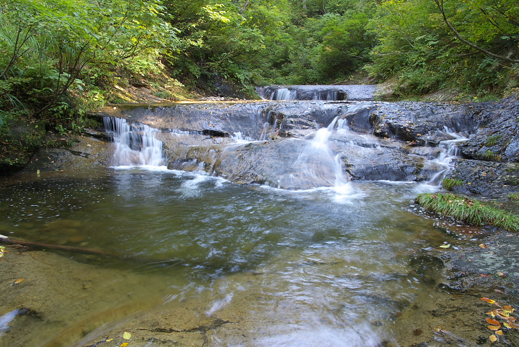 IMGP9398.jpg