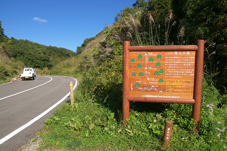 IMGP9401.jpg