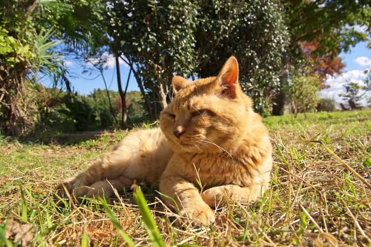 IMGP9910.jpg