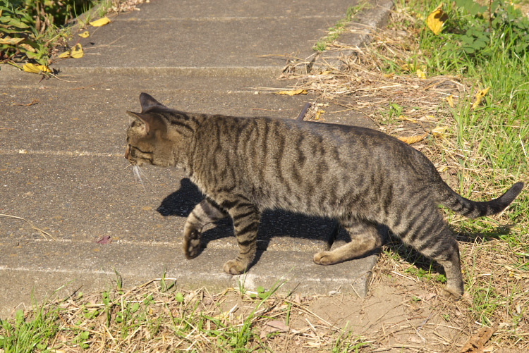 IMGP999917.jpg
