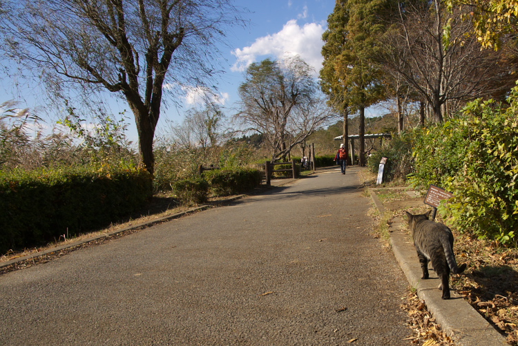 IMGP999920.jpg