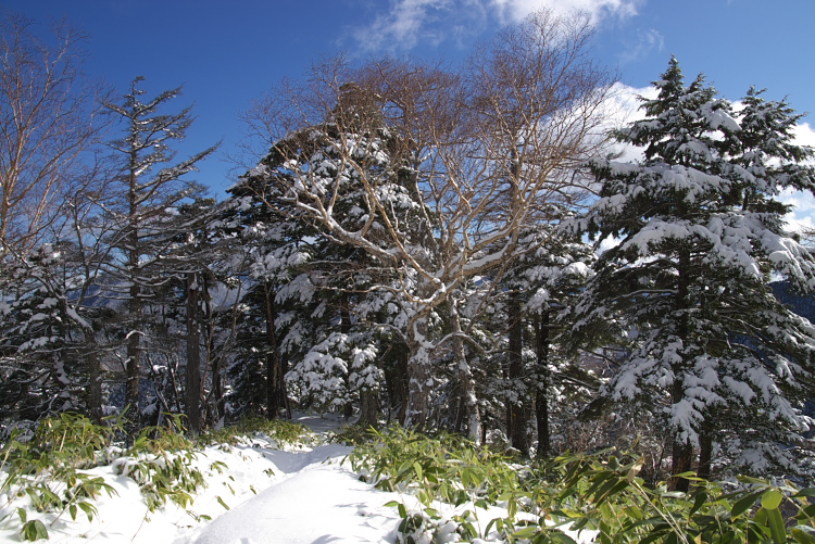 IMGP0058.jpg