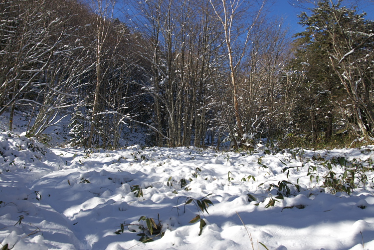 IMGP0079.jpg