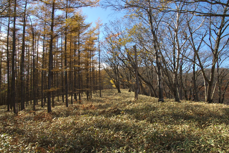 IMGP9714.jpg - 足尾　小法師尾根