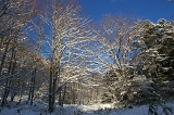 IMGP0036