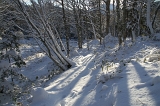 IMGP0039