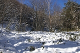 IMGP0079