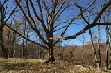 IMGP9719