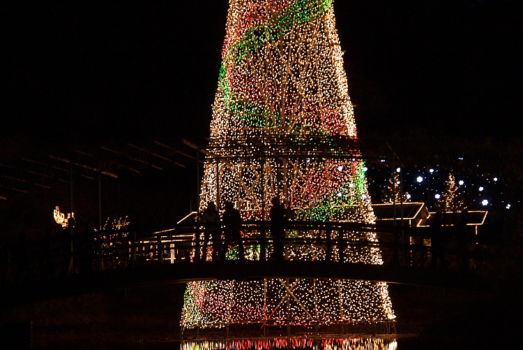 IMGP0181.jpg