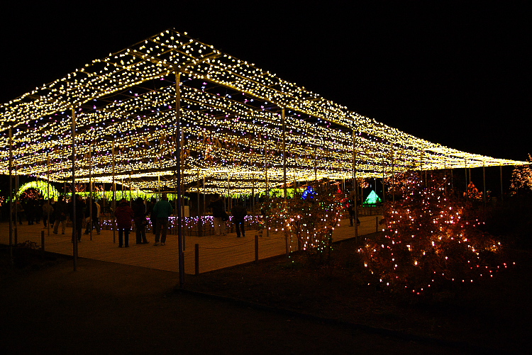 IMGP0208.jpg