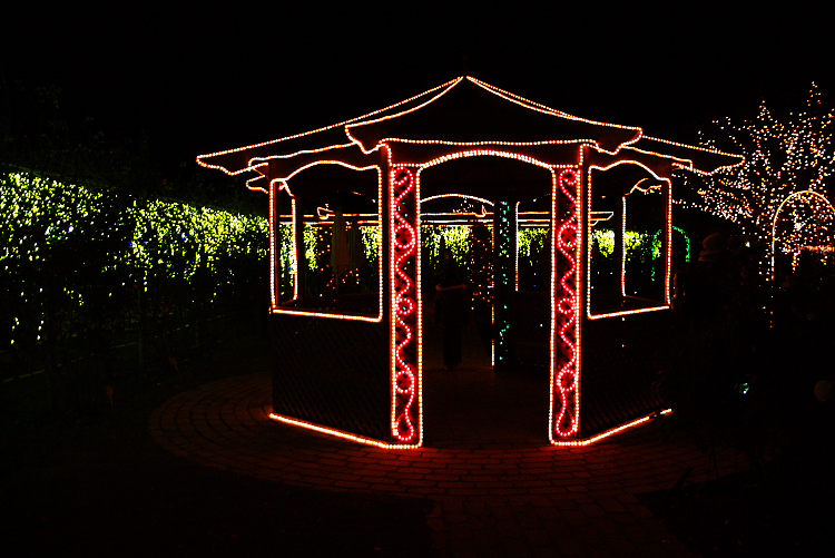 IMGP0230.jpg