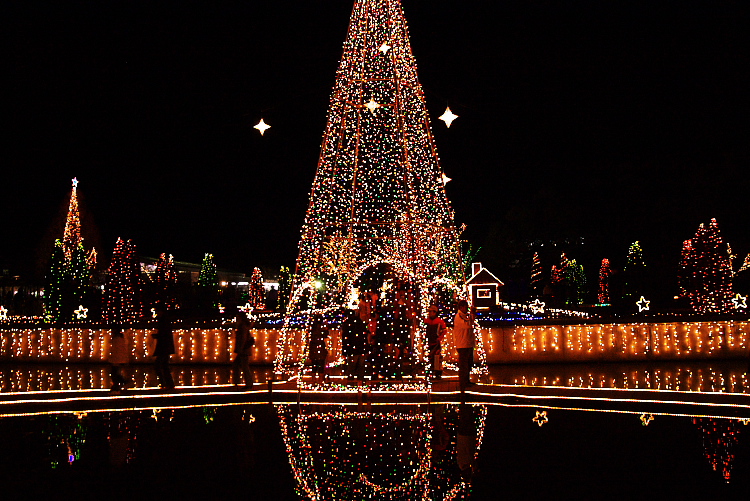 IMGP0265.jpg