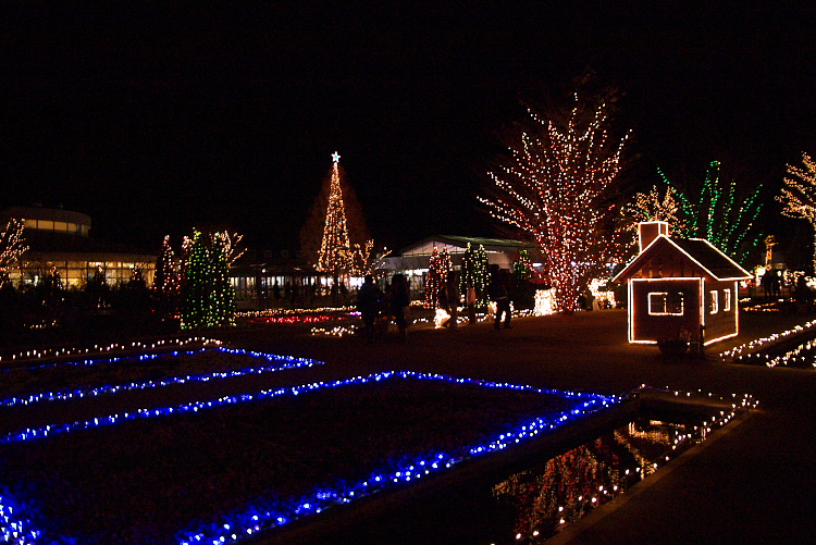 IMGP0476.jpg
