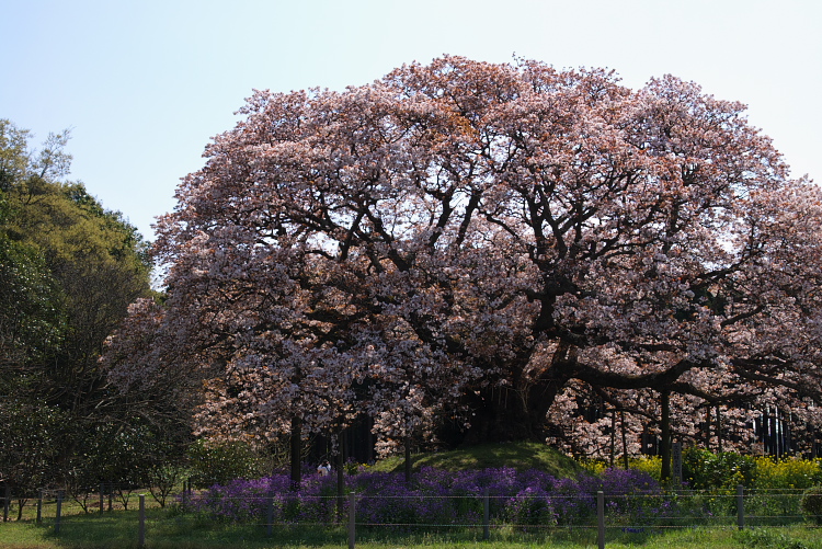 IMGP0629.jpg