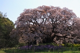 IMGP0629