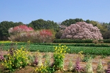 IMGP0703