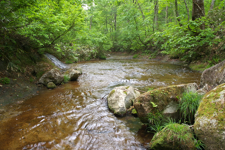 IMGP0873.jpg