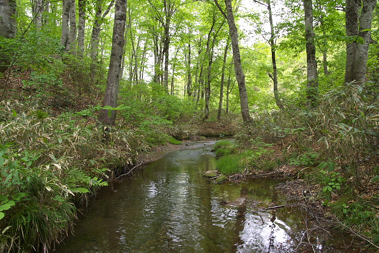 IMGP0953.jpg