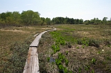 IMGP0751