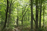 IMGP0767