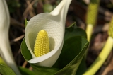 IMGP0802
