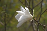 IMGP0804