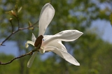 IMGP0805